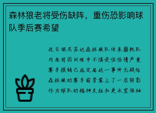 森林狼老将受伤缺阵，重伤恐影响球队季后赛希望